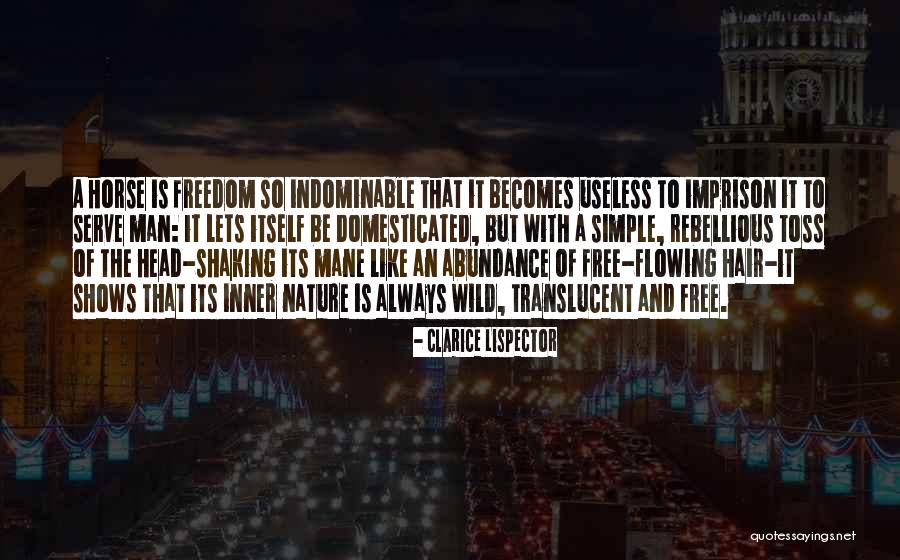 Simple Wild Quotes By Clarice Lispector Simple Wild Quotes By Clarice Lispector