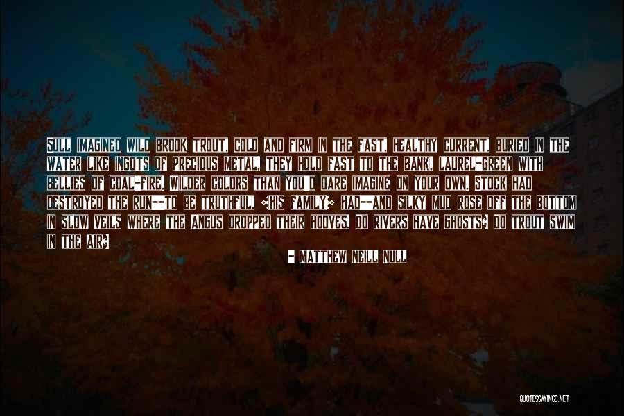 Simple Wild Quotes By Matthew Neill Null Simple Wild Quotes By Matthew Neill Null