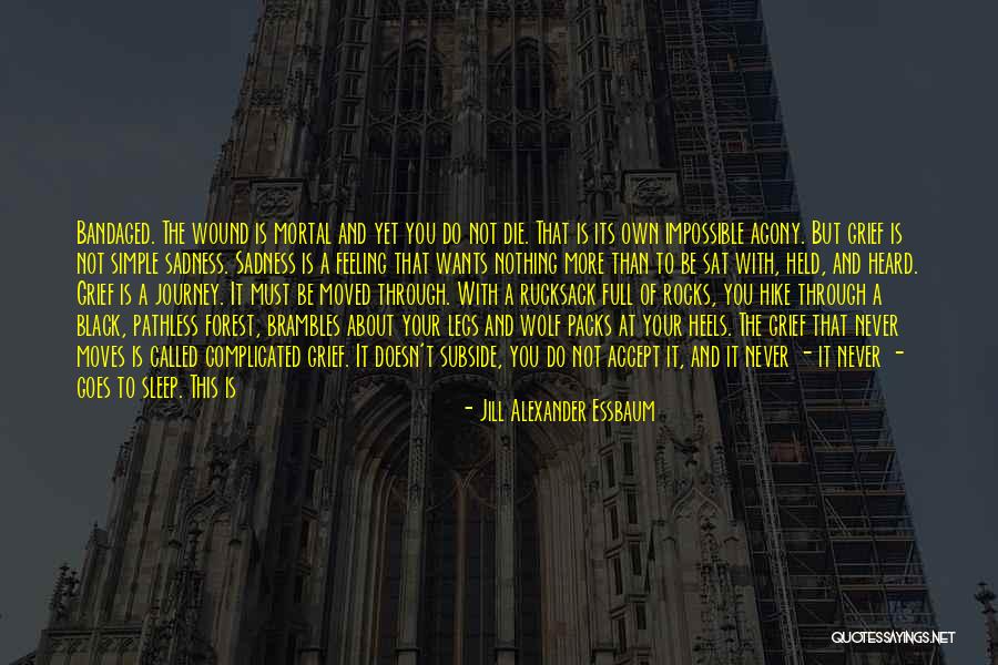 Simple Yet Complicated Quotes By Jill Alexander Essbaum Simple Yet Complicated Quotes By Jill Alexander Essbaum
