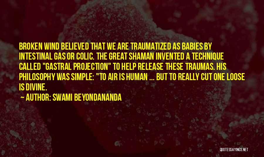 Simple Yet Funny Quotes By Swami Beyondananda