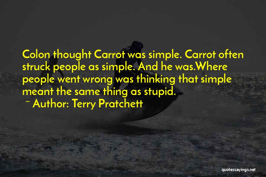 Simple Yet Funny Quotes By Terry Pratchett