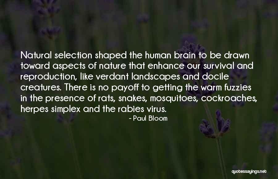 Simplex Quotes By Paul Bloom Simplex Quotes By Paul Bloom