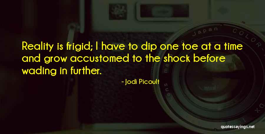 Simplicidad Concepto Quotes By Jodi Picoult Simplicidad Concepto Quotes By Jodi Picoult