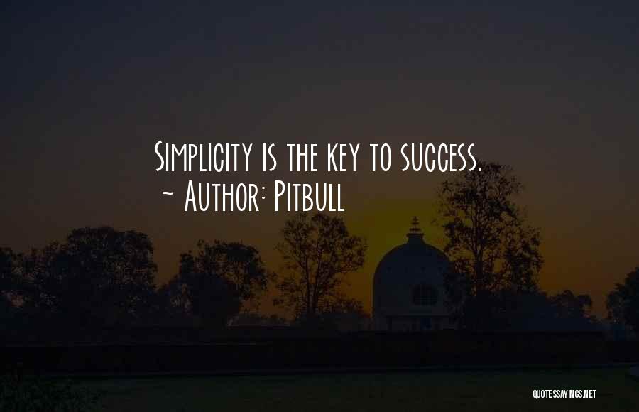 Simplicity And Success Quotes By Pitbull