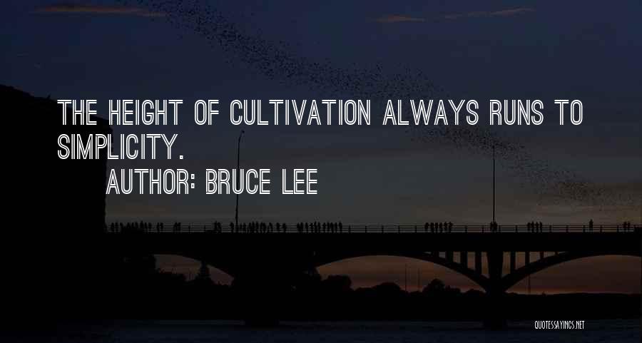 Simplicity In Design Quotes By Bruce Lee