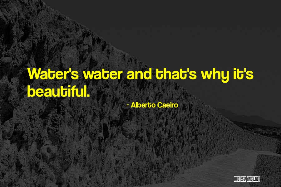 Simplicity Is Beauty Quotes By Alberto Caeiro