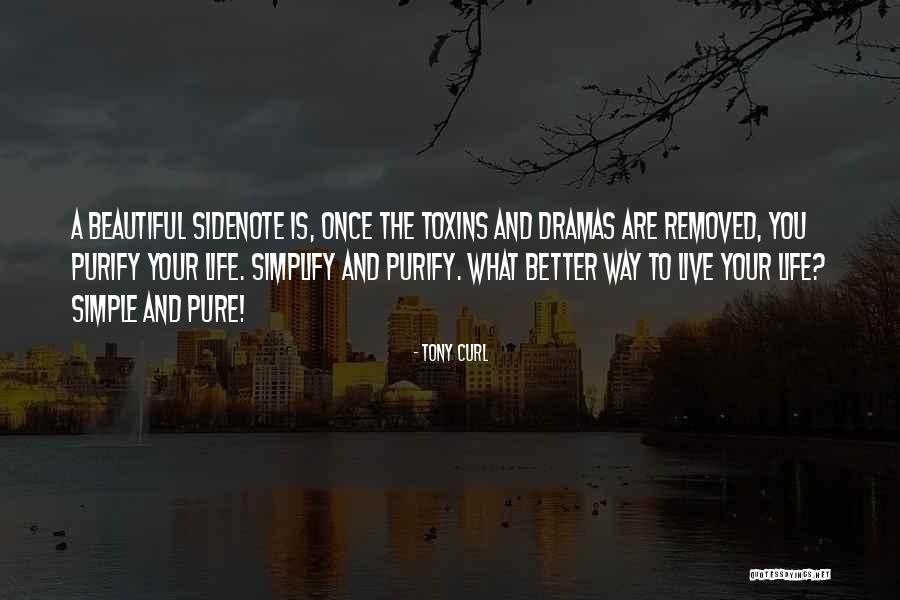 Simplicity Simplify Quotes By Tony Curl Simplicity Simplify Quotes By Tony Curl