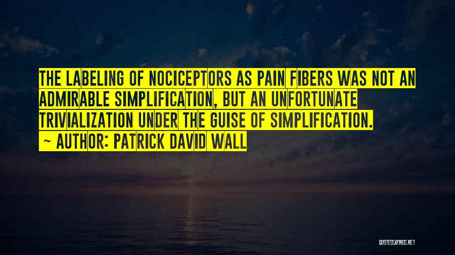 Simplification Quotes By Patrick David Wall