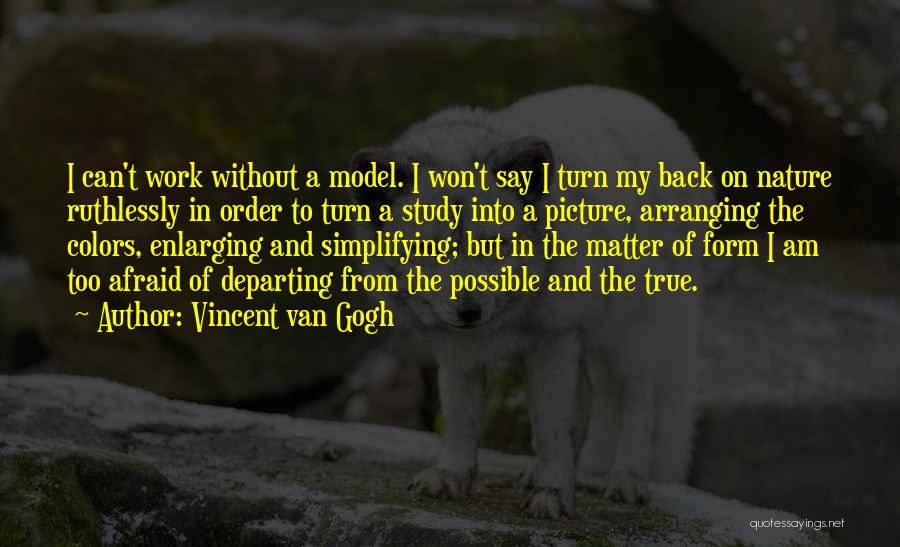 Simplifying Quotes By Vincent Van Gogh