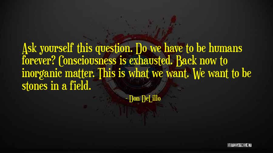Simplistic Inspiring Quotes By Don DeLillo Simplistic Inspiring Quotes By Don DeLillo