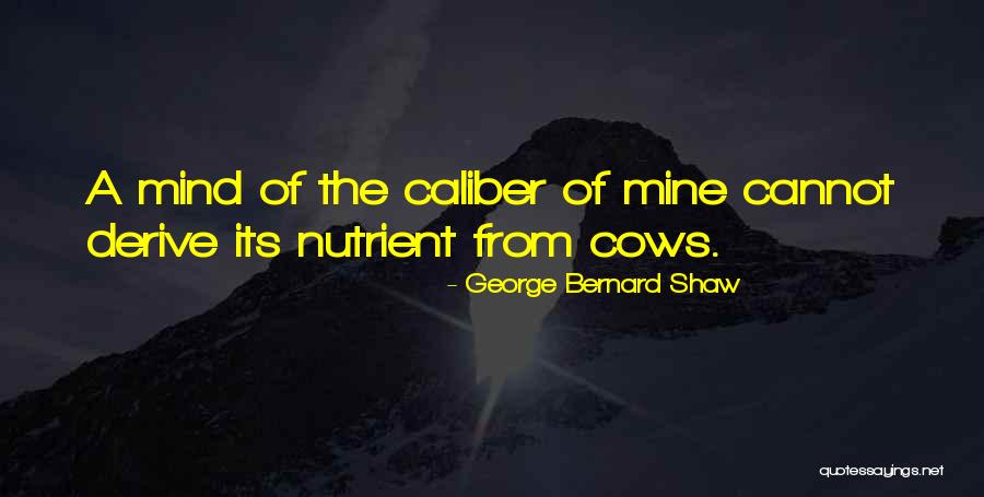 Simplistically Living Quotes By George Bernard Shaw Simplistically Living Quotes By George Bernard Shaw