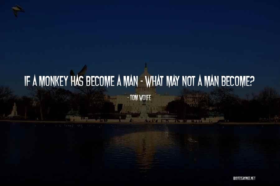 Simplitate Voluntara Quotes By Tom Wolfe Simplitate Voluntara Quotes By Tom Wolfe