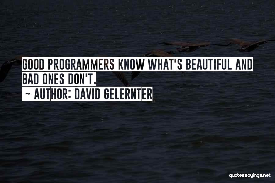 Simply And Emotionally Support Quotes By David Gelernter