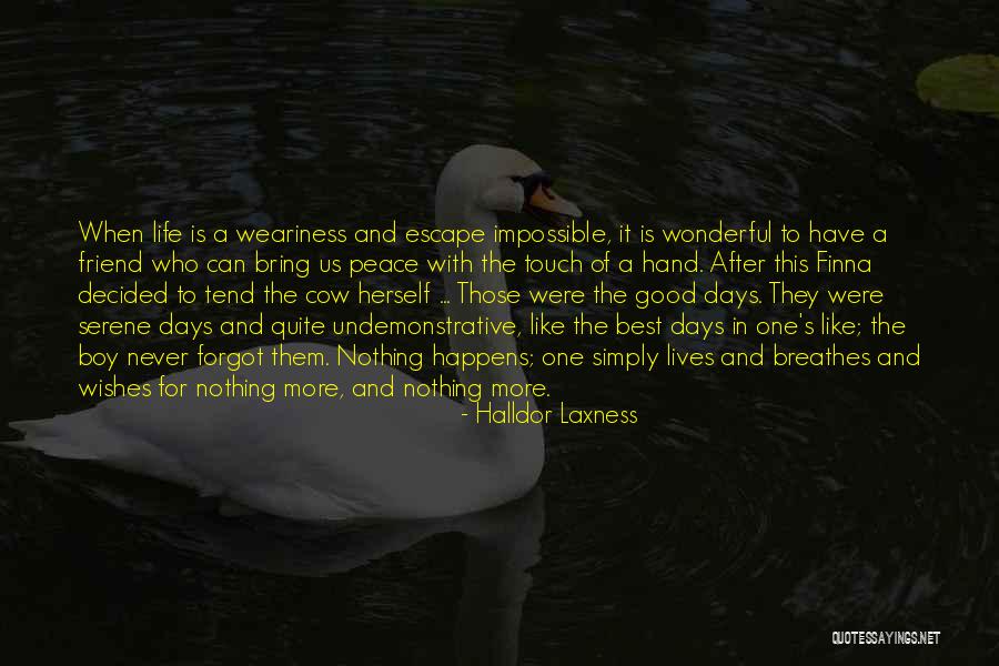 Simply Serene Quotes By Halldor Laxness Simply Serene Quotes By Halldor Laxness