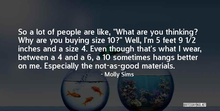 Sims 2 Quotes By Molly Sims Sims 2 Quotes By Molly Sims