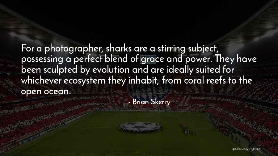 Simultanagnosia Youtube Quotes By Brian Skerry Simultanagnosia Youtube Quotes By Brian Skerry