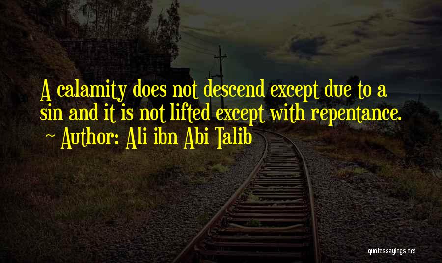 Sin And Repentance Quotes By Ali Ibn Abi Talib