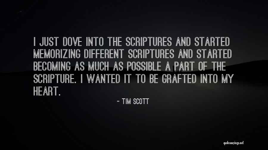 Sinacola Demolition Quotes By Tim Scott Sinacola Demolition Quotes By Tim Scott