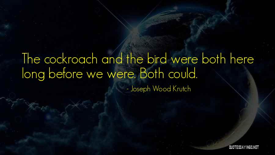 Sinadinoski Quotes By Joseph Wood Krutch Sinadinoski Quotes By Joseph Wood Krutch