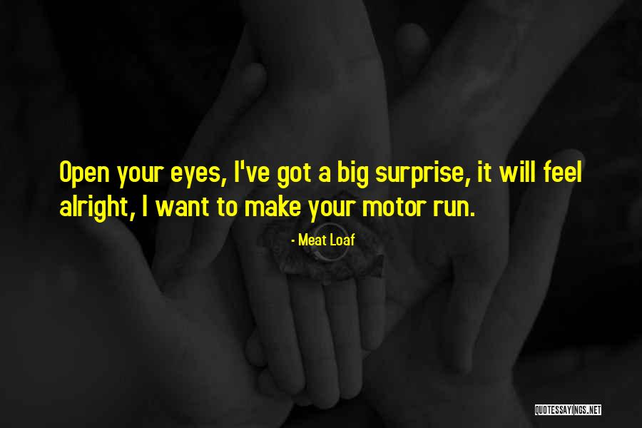 Sinaloa State Quotes By Meat Loaf Sinaloa State Quotes By Meat Loaf