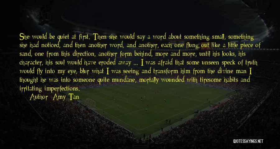 Sinann Somers Quotes By Amy Tan