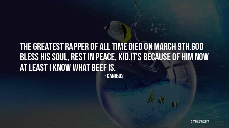 Sinann Somers Quotes By Canibus Sinann Somers Quotes By Canibus