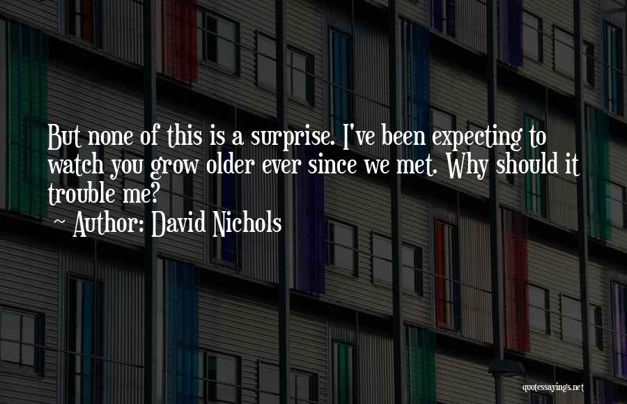 Since I Met You Quotes By David Nichols