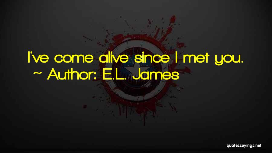 Since I Met You Quotes By E.L. James