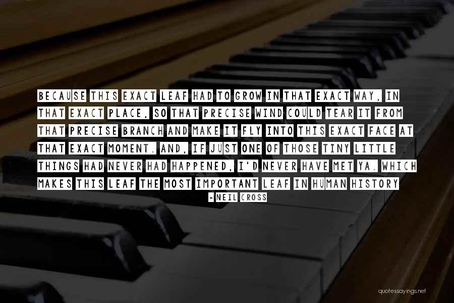 Since The Moment I Met You Quotes By Neil Cross Since The Moment I Met You Quotes By Neil Cross