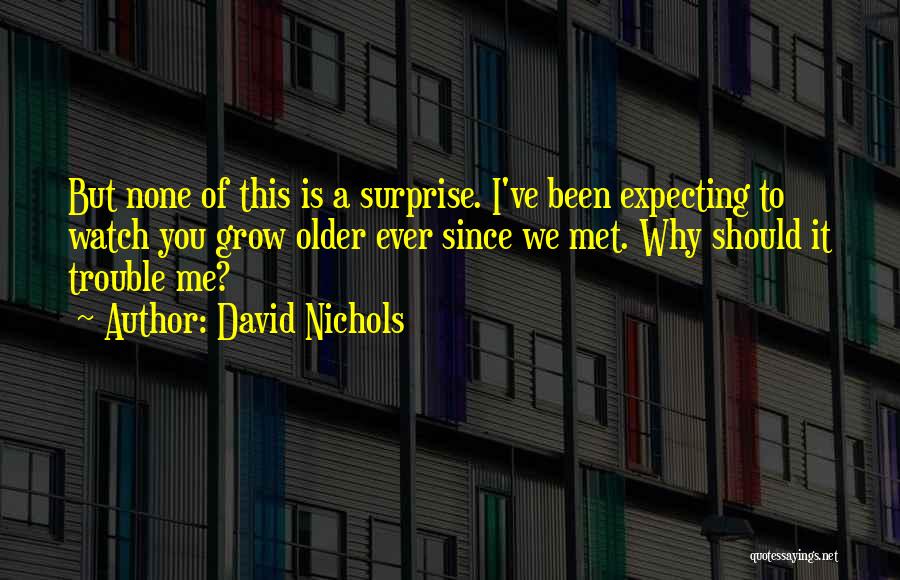 Since We've Met Quotes By David Nichols