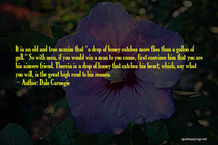 Sincere Man Quotes By Dale Carnegie