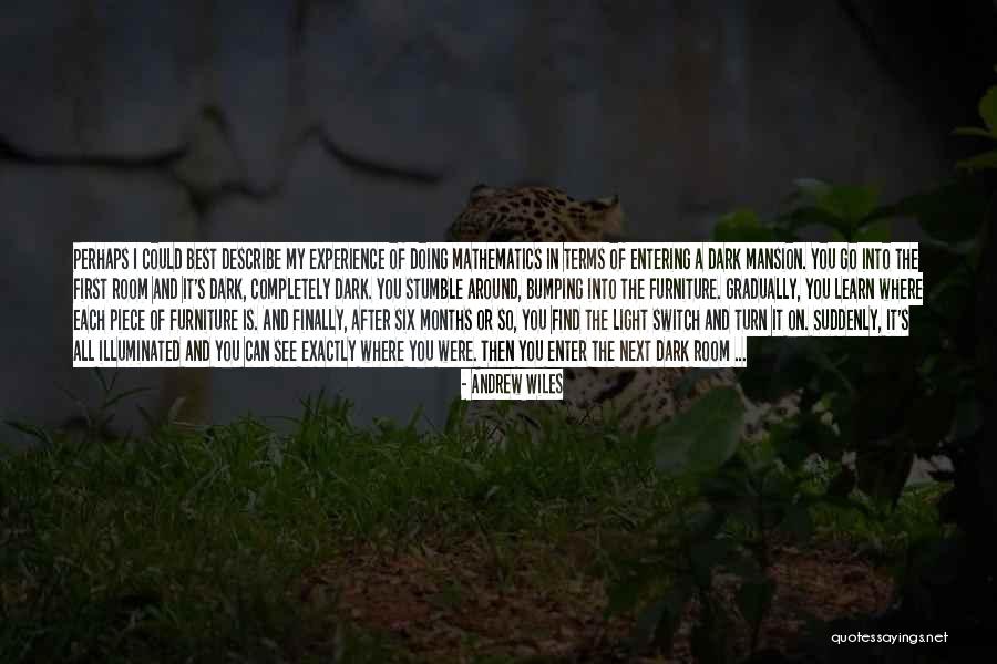 Sindromul Edwards Quotes By Andrew Wiles Sindromul Edwards Quotes By Andrew Wiles