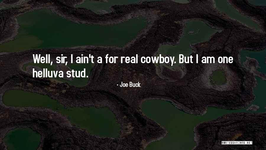 Sinedusa Quotes By Joe Buck