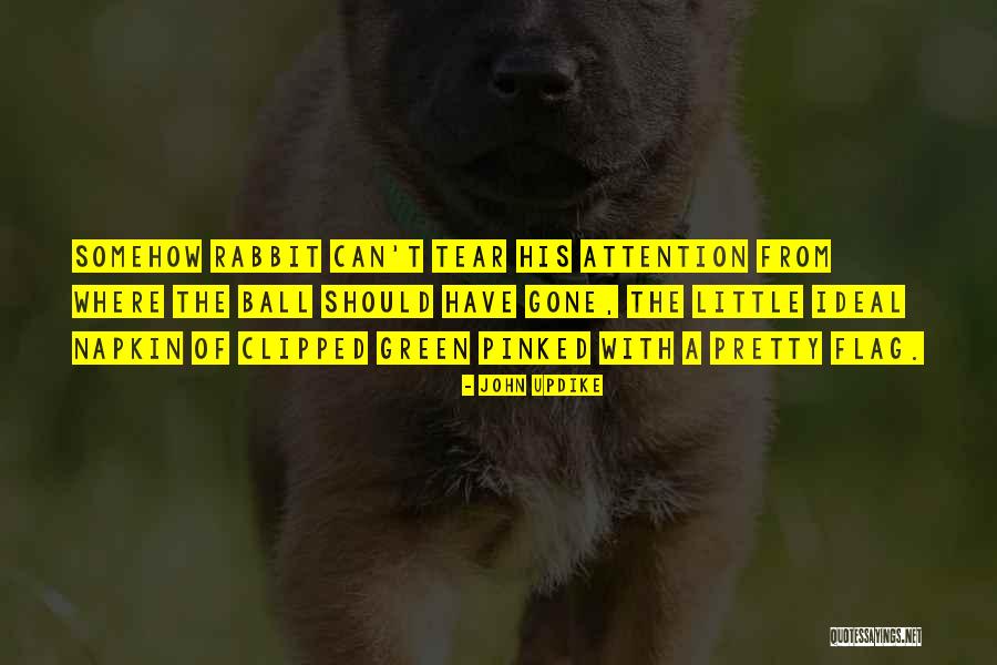 Sinekler Ve Quotes By John Updike Sinekler Ve Quotes By John Updike