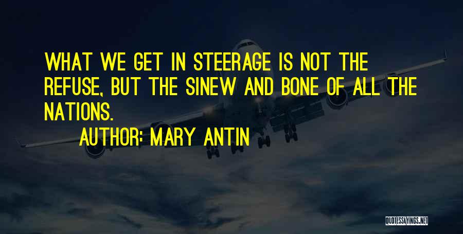 Sinew Quotes By Mary Antin