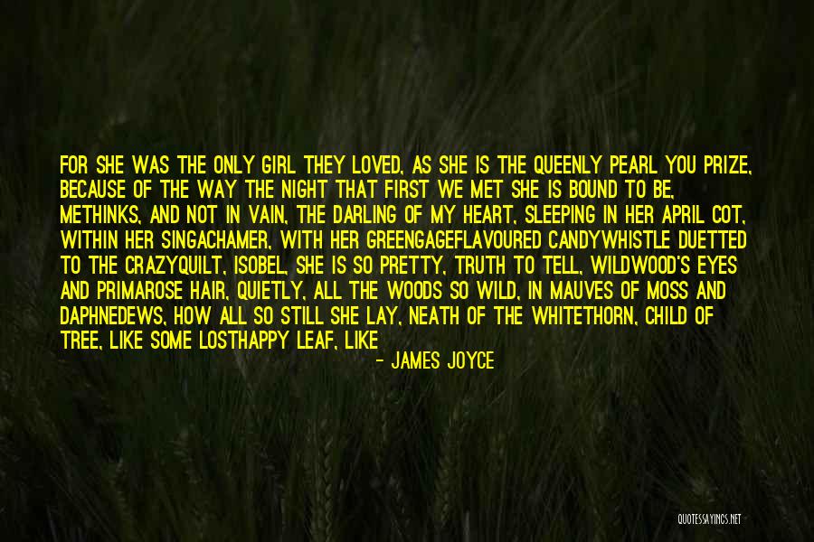 Singachamer Quotes By James Joyce Singachamer Quotes By James Joyce