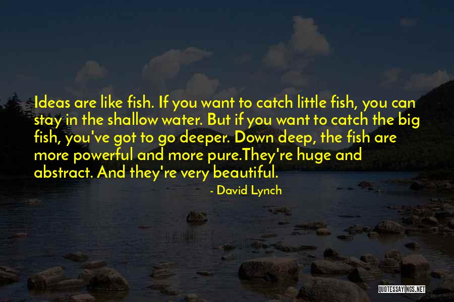Singapore Exchange Nifty Quotes By David Lynch Singapore Exchange Nifty Quotes By David Lynch