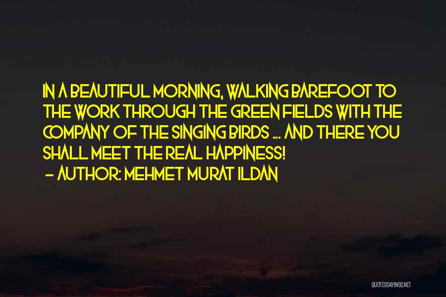 Singing And Happiness Quotes By Mehmet Murat Ildan