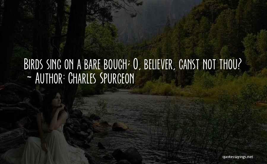 Singing Birds Quotes By Charles Spurgeon