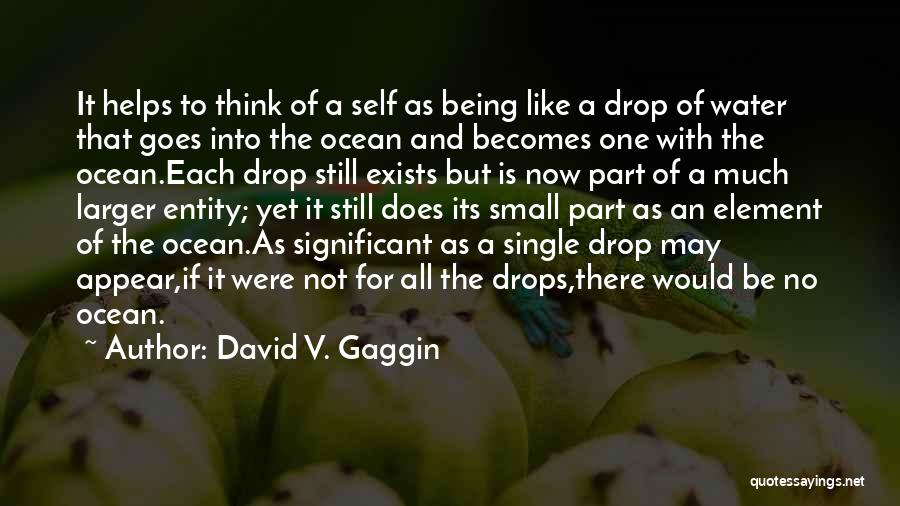 Single Drop Water Quotes By David V. Gaggin