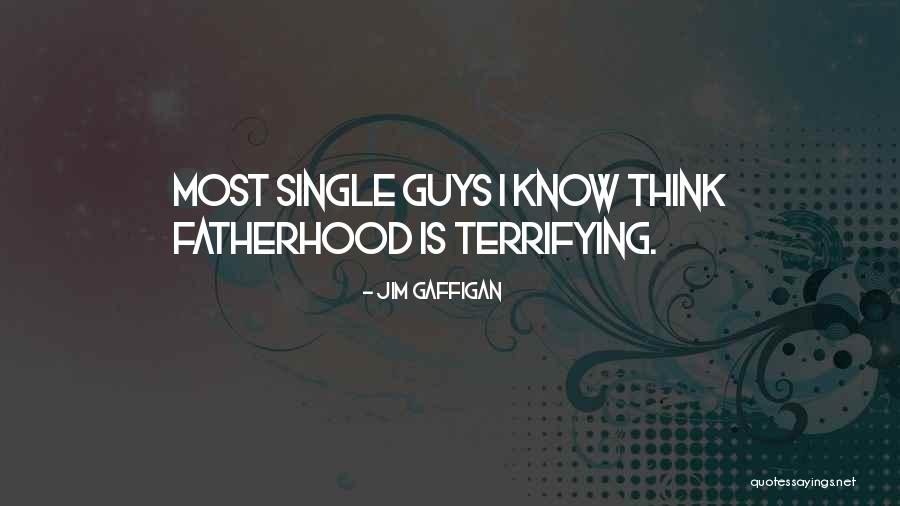 Single Fatherhood Quotes By Jim Gaffigan