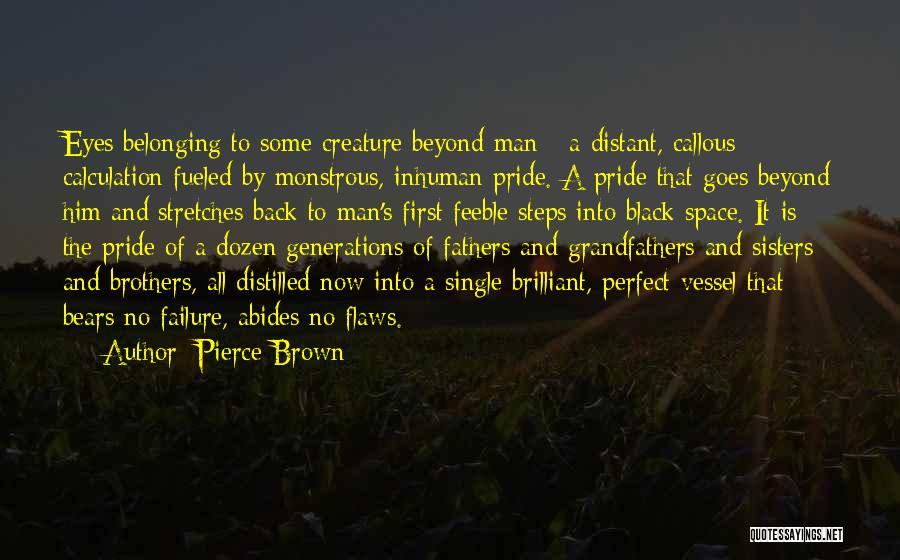 Single Fathers Quotes By Pierce Brown