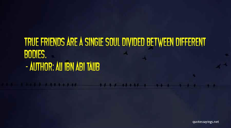 Single Friends Quotes By Ali Ibn Abi Talib