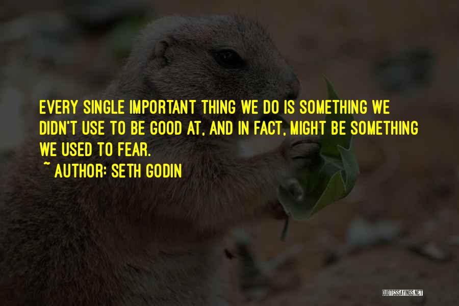 Single Life Good Quotes By Seth Godin