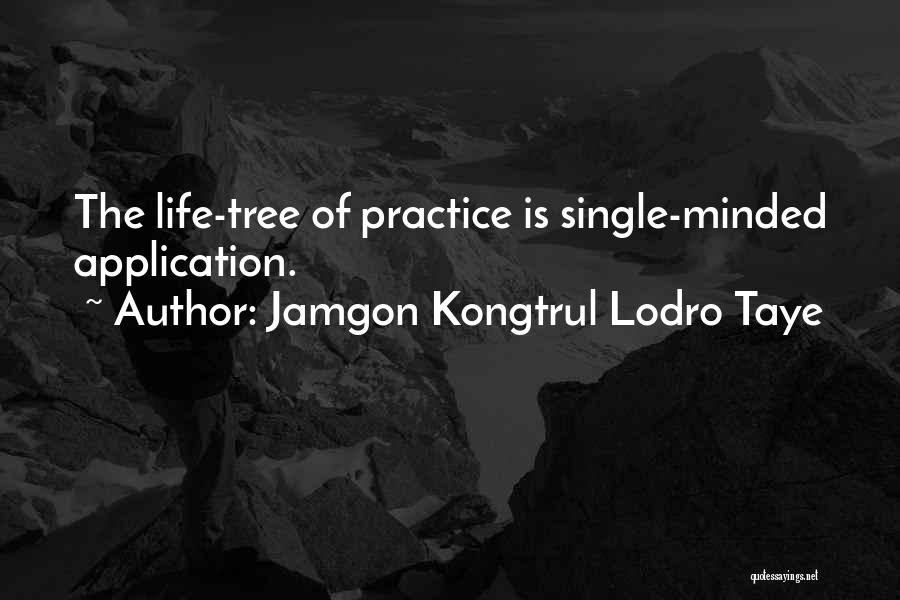 Single Minded Quotes By Jamgon Kongtrul Lodro Taye