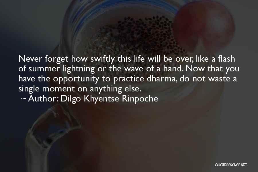 Single Mom Life Quotes By Dilgo Khyentse Rinpoche