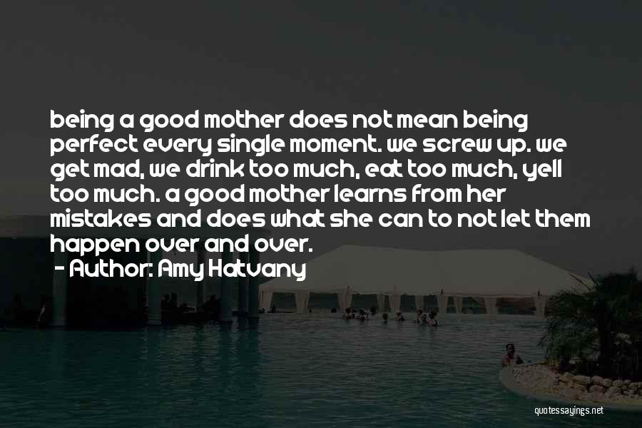 Single Motherhood Quotes By Amy Hatvany