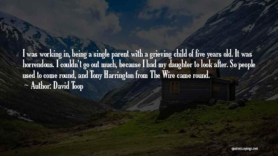 Single Parent Quotes By David Toop