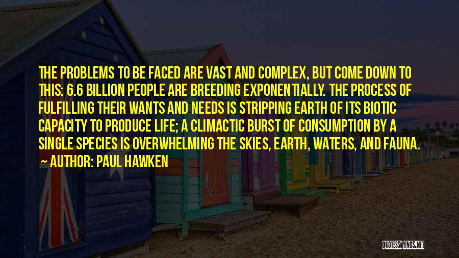 Single Problems Quotes By Paul Hawken