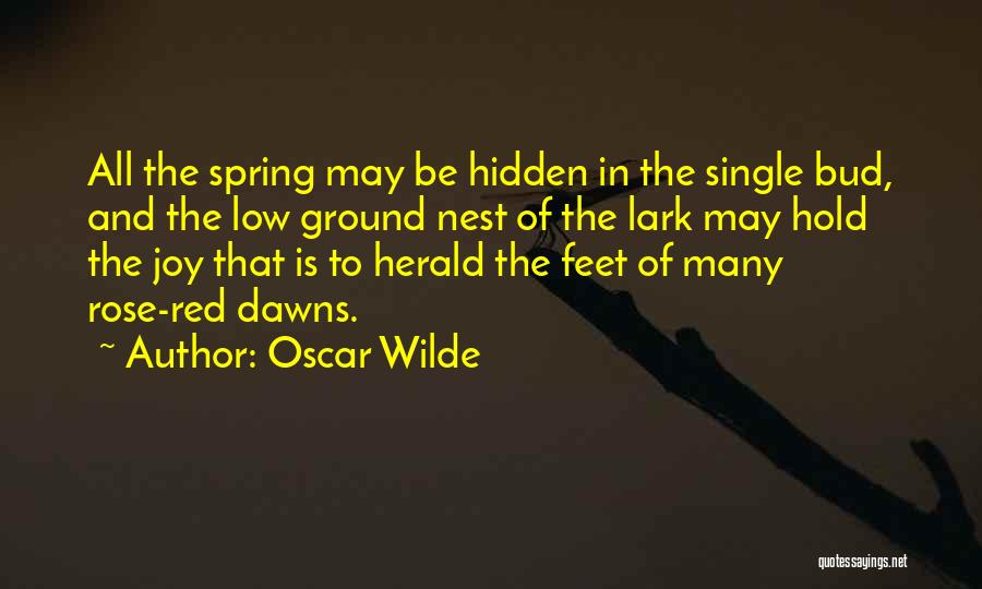 Single Red Rose Quotes By Oscar Wilde